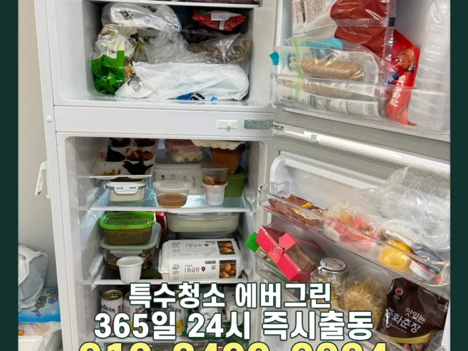 파주 고독사청소