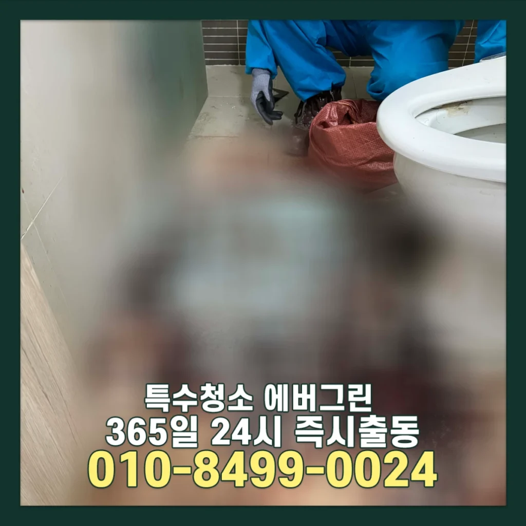 파주 고독사청소