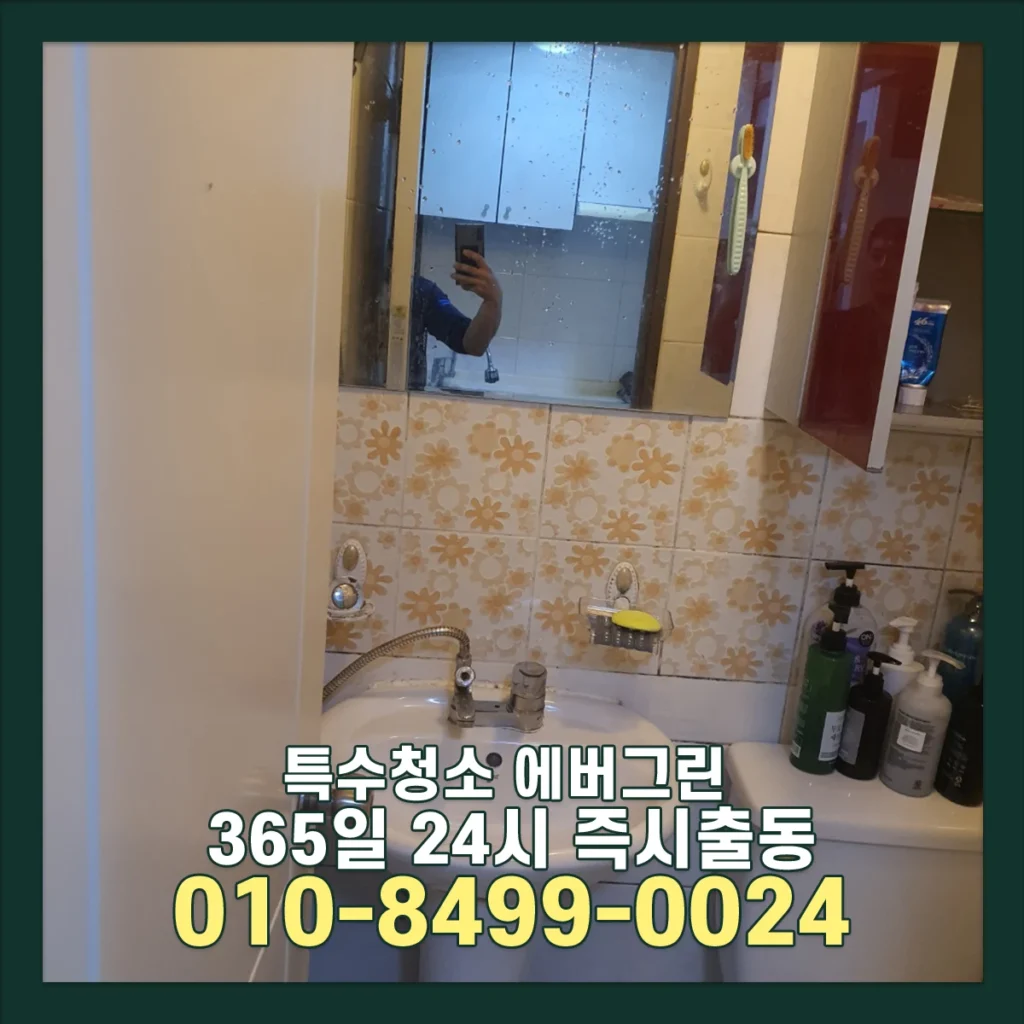 관악구 신림 쓰레기집청소