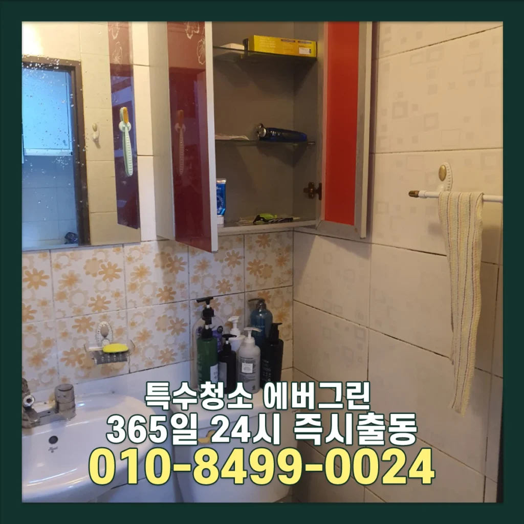 관악구 신림 쓰레기집청소