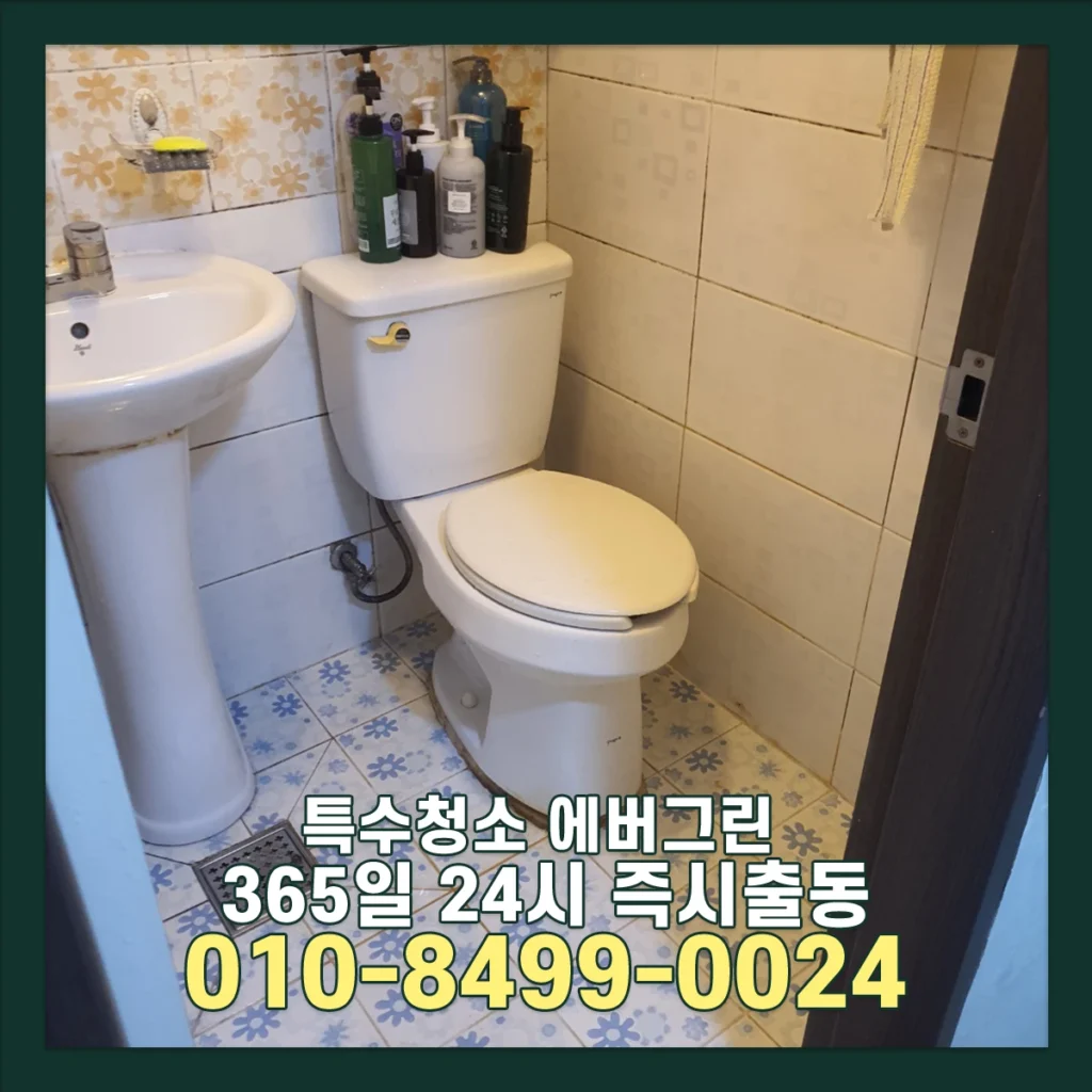 관악구 신림 쓰레기집청소