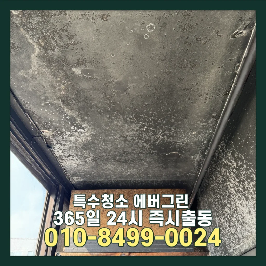화성 오산 상가 화재현장복구