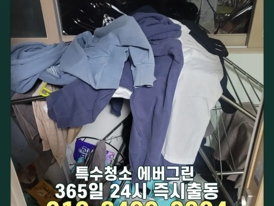 천안 쓰레기집청소