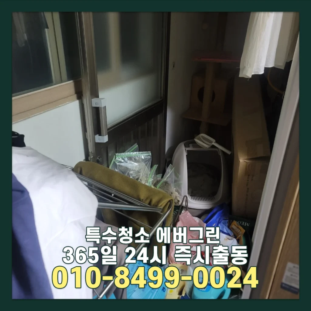 천안 쓰레기집청소