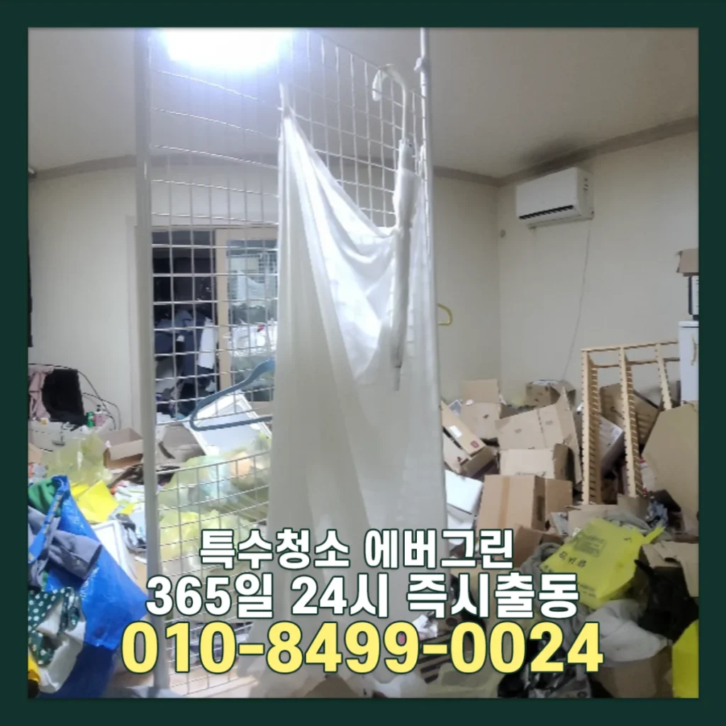 천안 쓰레기집청소