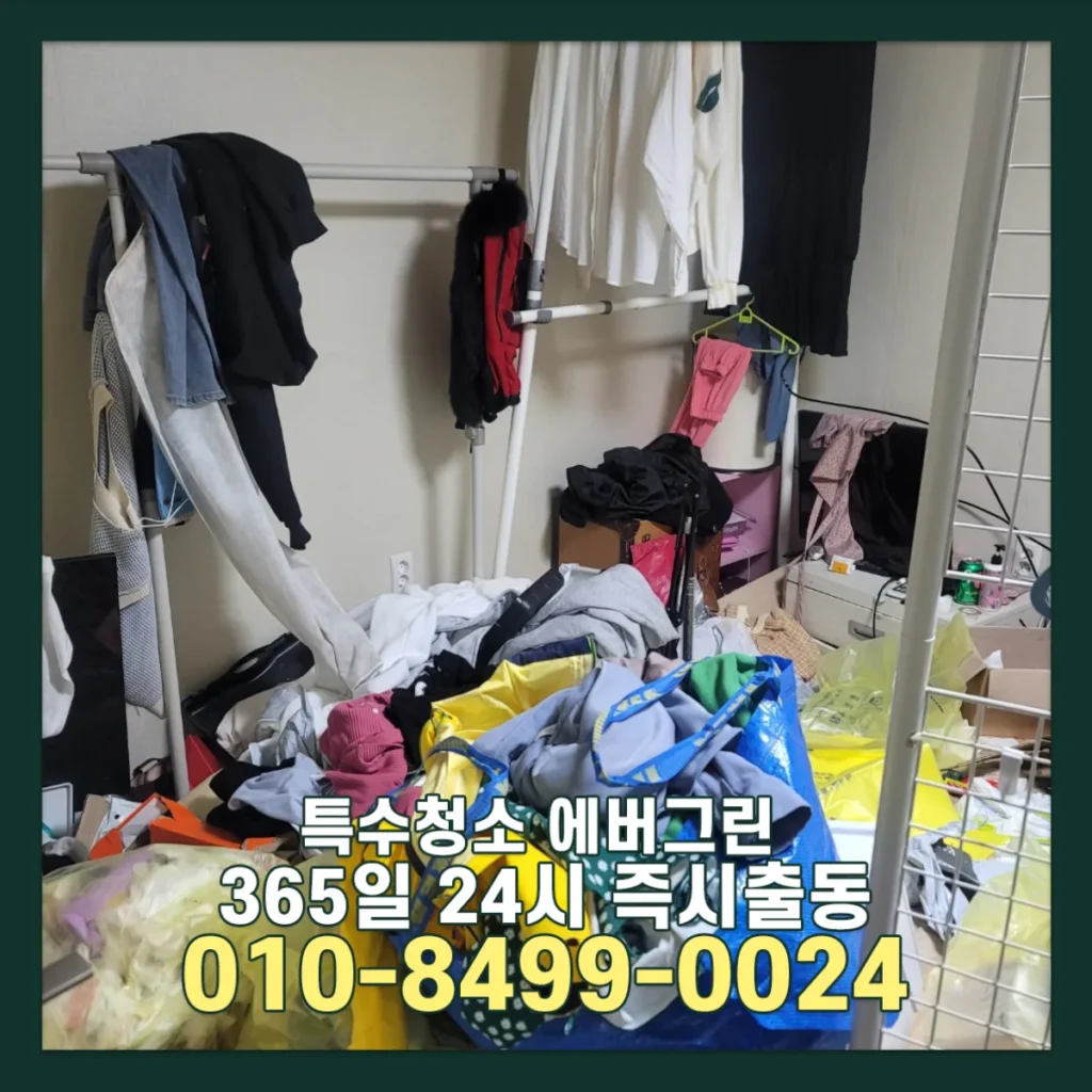 천안 쓰레기집청소