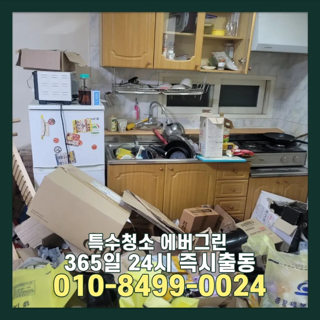 천안 쓰레기집청소