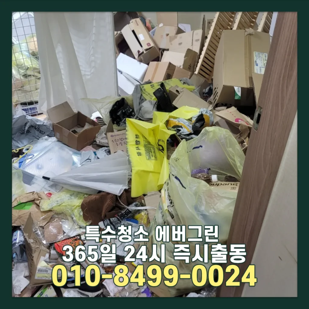 천안 쓰레기집청소