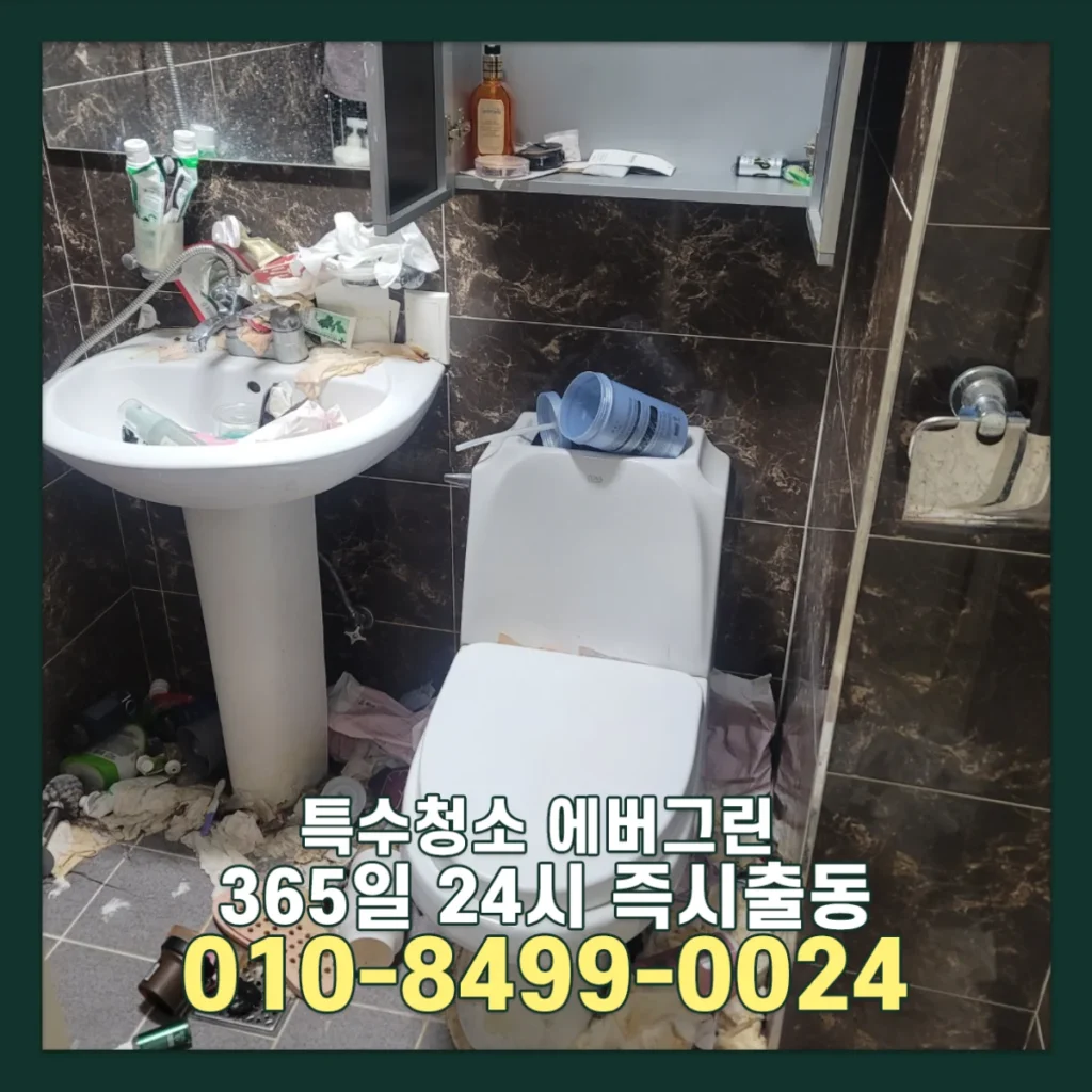 천안 쓰레기집청소