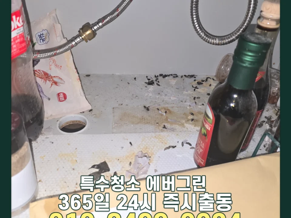 쥐똥많은집 특수청소