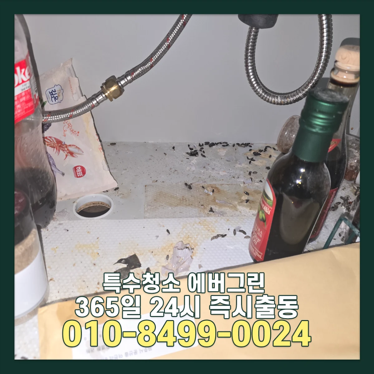 쥐똥많은집 특수청소