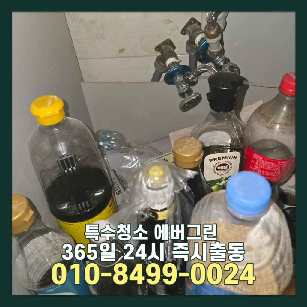 쥐똥많은집 특수청소