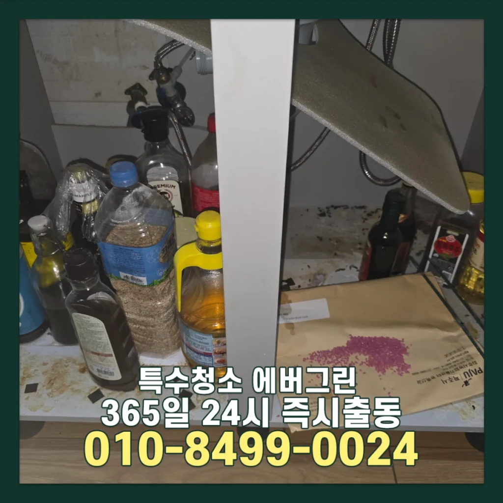 쥐똥많은집 특수청소