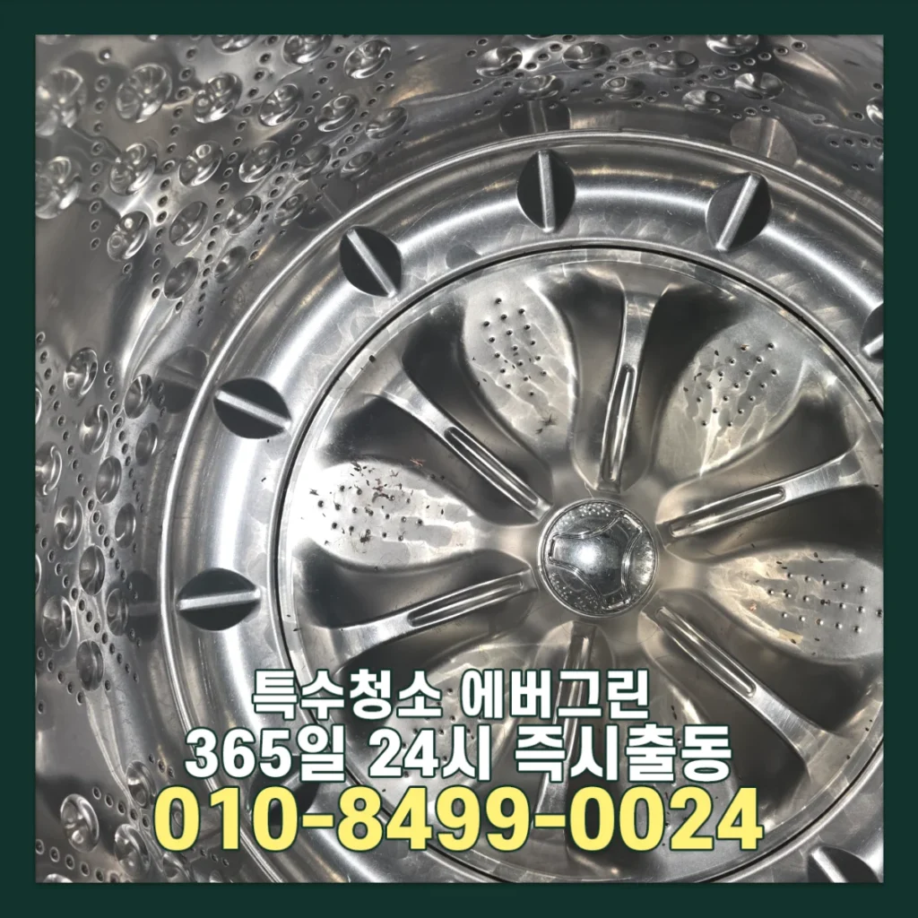 쥐똥많은집 특수청소