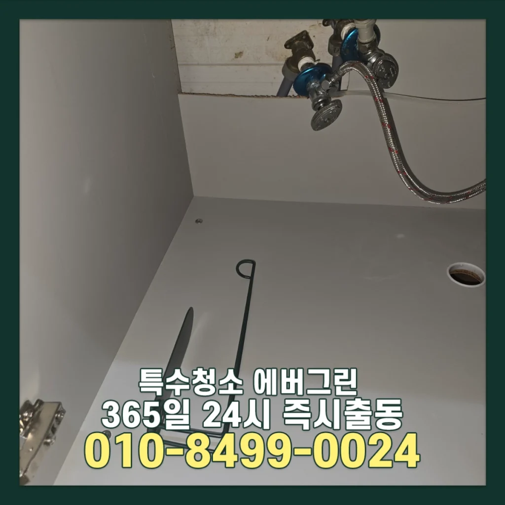 쥐똥많은집 특수청소