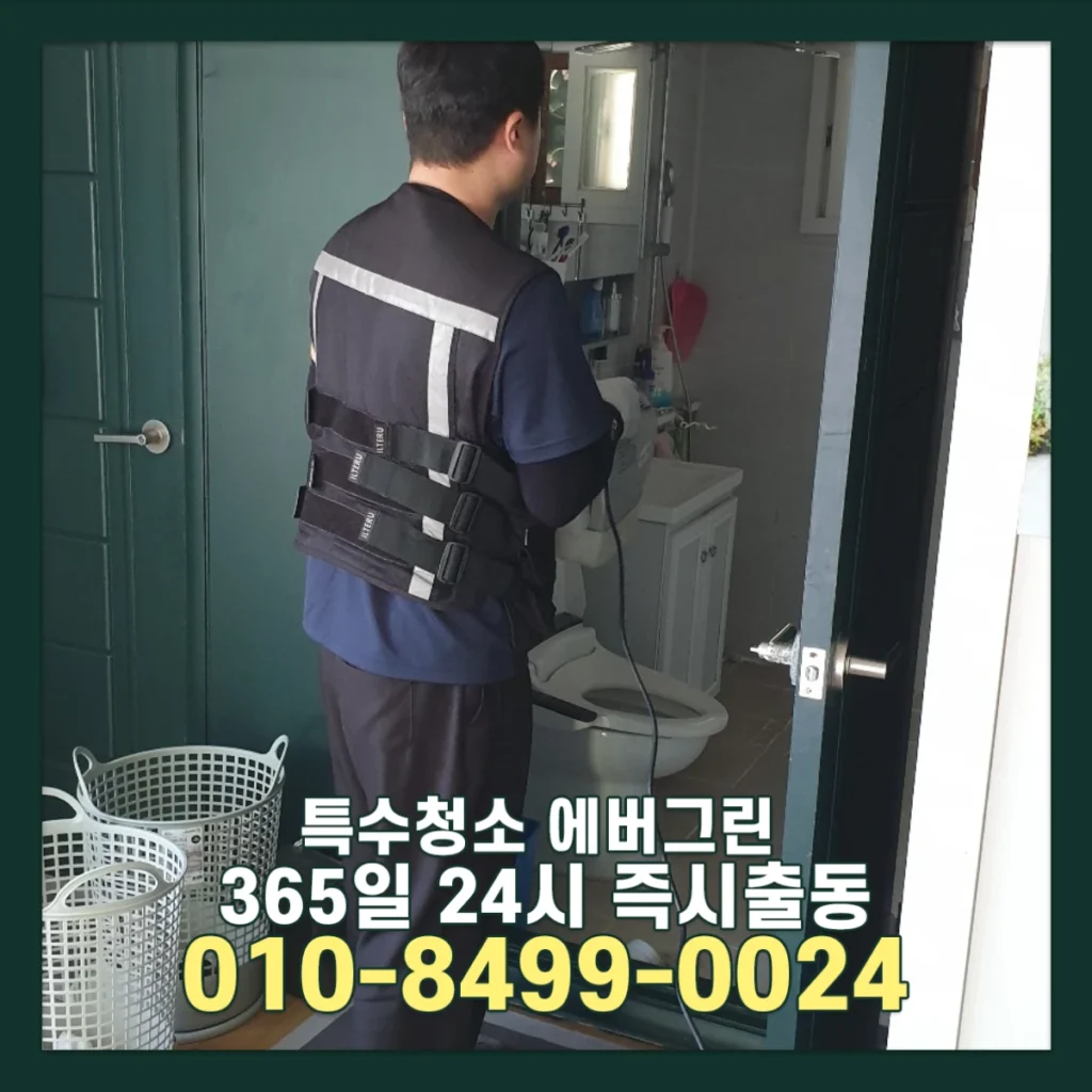 쥐똥많은집 특수청소