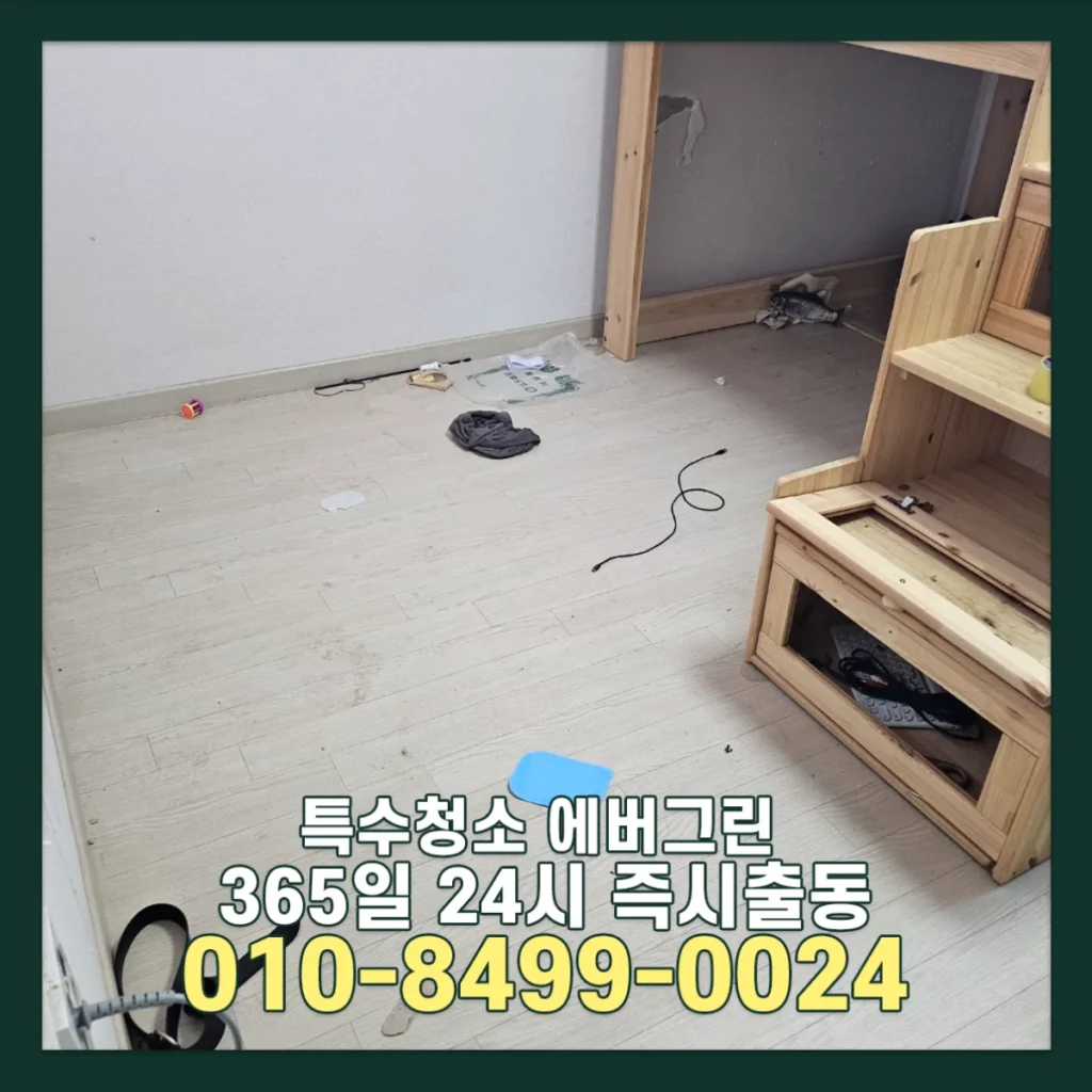 부천 부분집청소