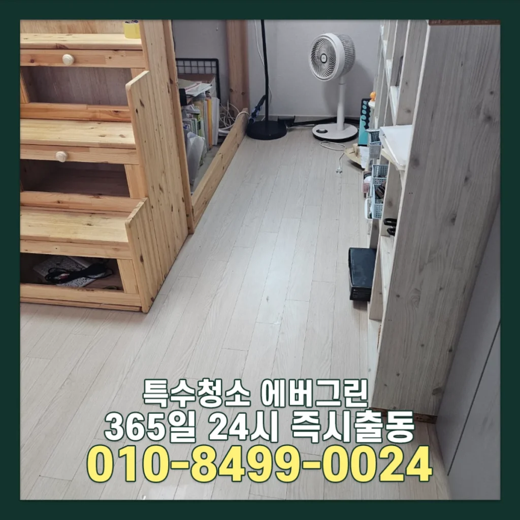 부천 부분집청소