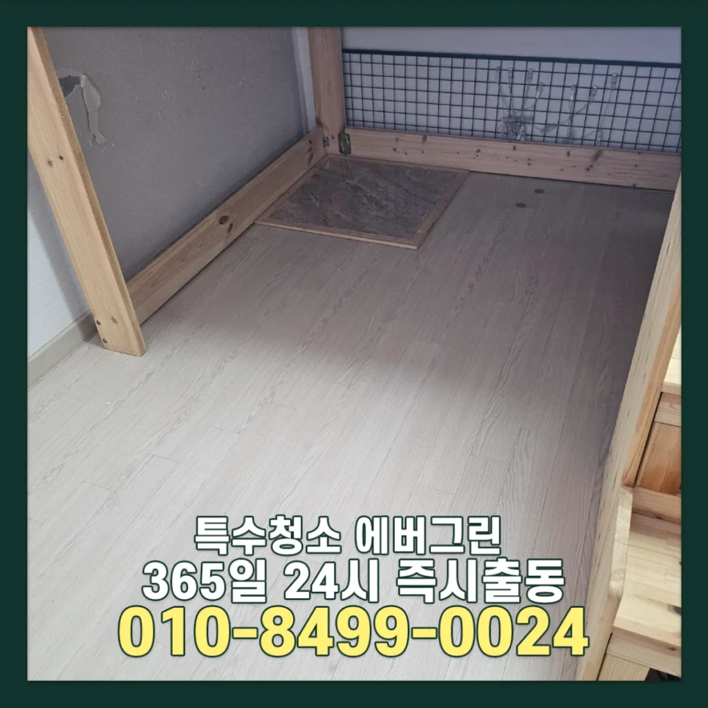 부천 부분집청소