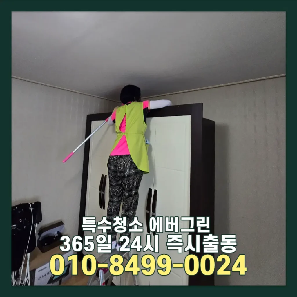 서울 강남 주거입주청소