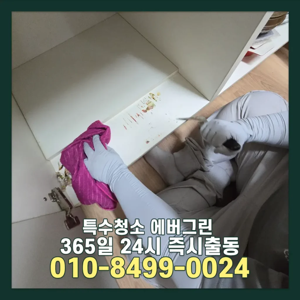 서울 강남 주거입주청소