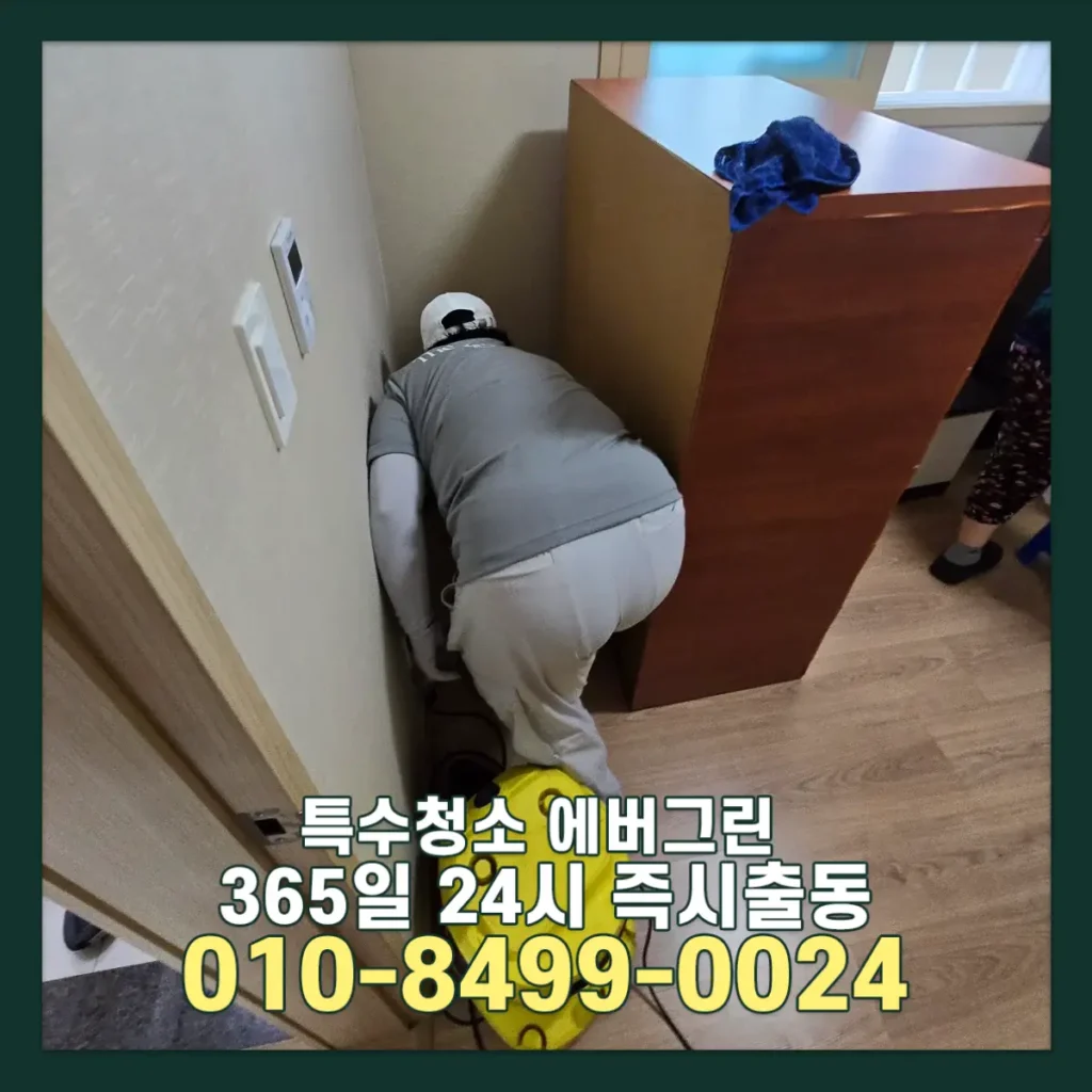 서울 강남 주거입주청소