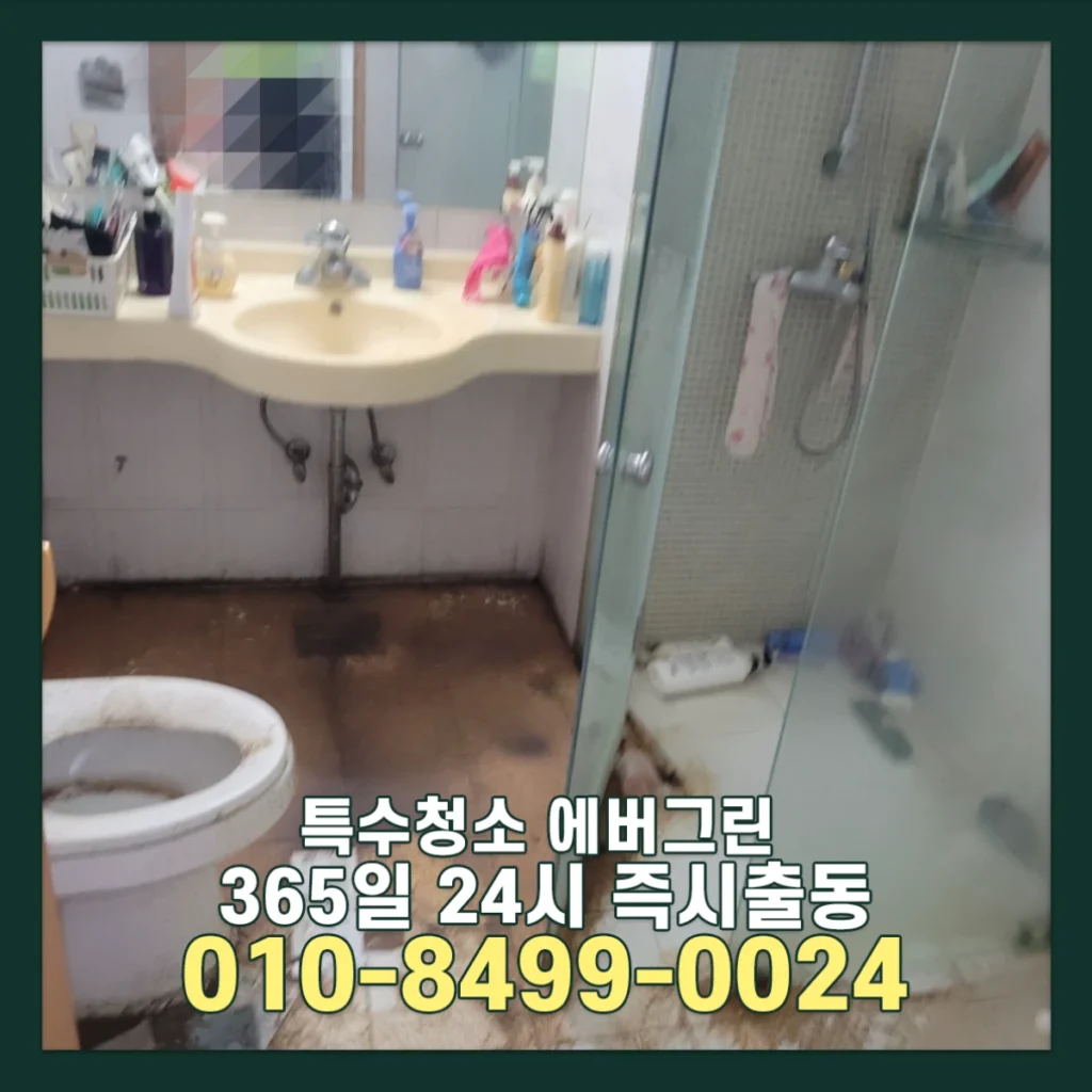 서울 경기 원룸 쓰레기집청소