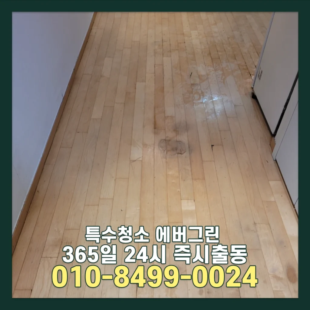 서울 경기 원룸 쓰레기집청소