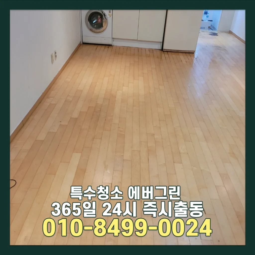 서울 경기 원룸 쓰레기집청소