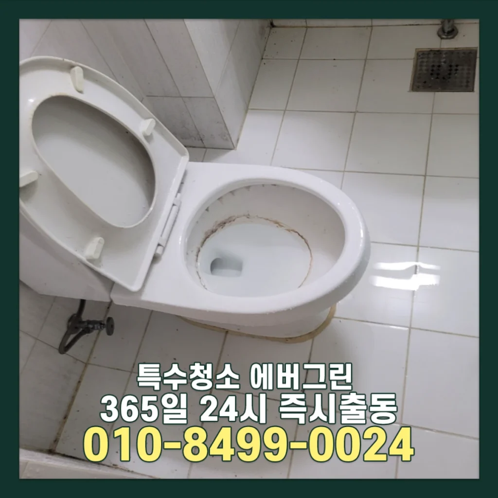 서울 경기 원룸 쓰레기집청소