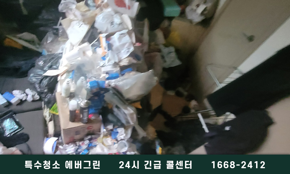 가양동 쓰레기집청소