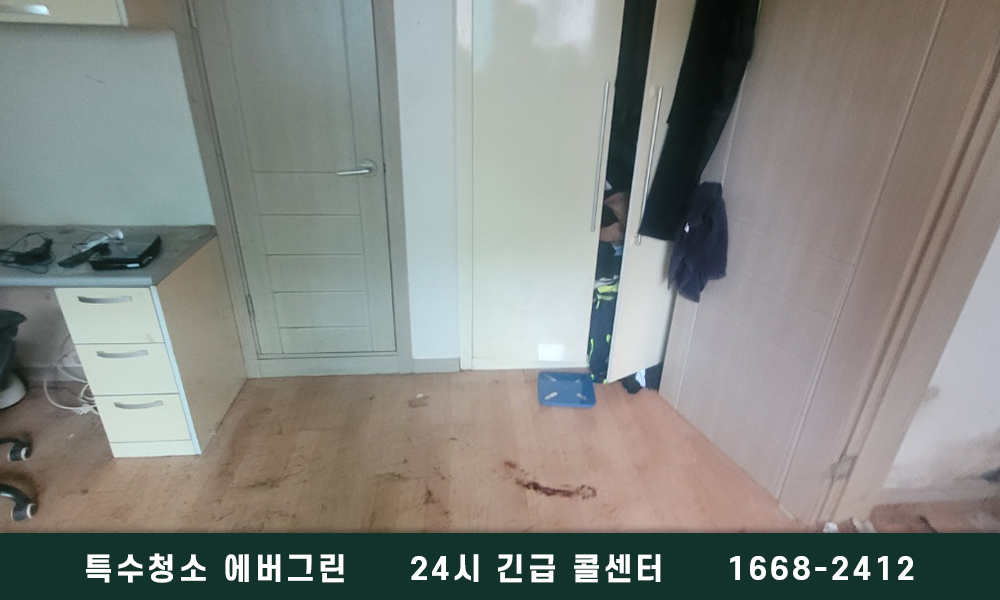 가양동 쓰레기집청소