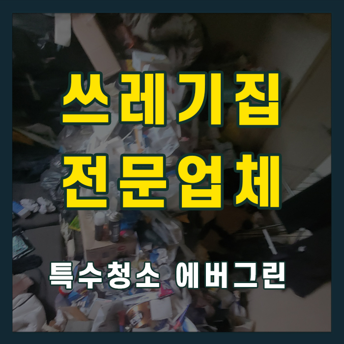 가양동 쓰레기집청소