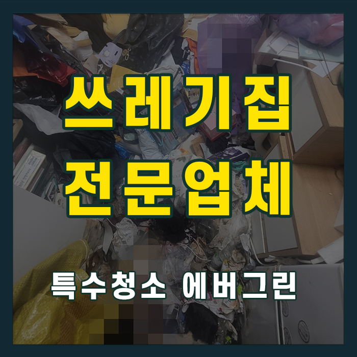 고양시 일산 쓰레기집청소