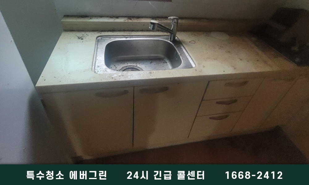 구로 가산디지털 쓰레기집청소