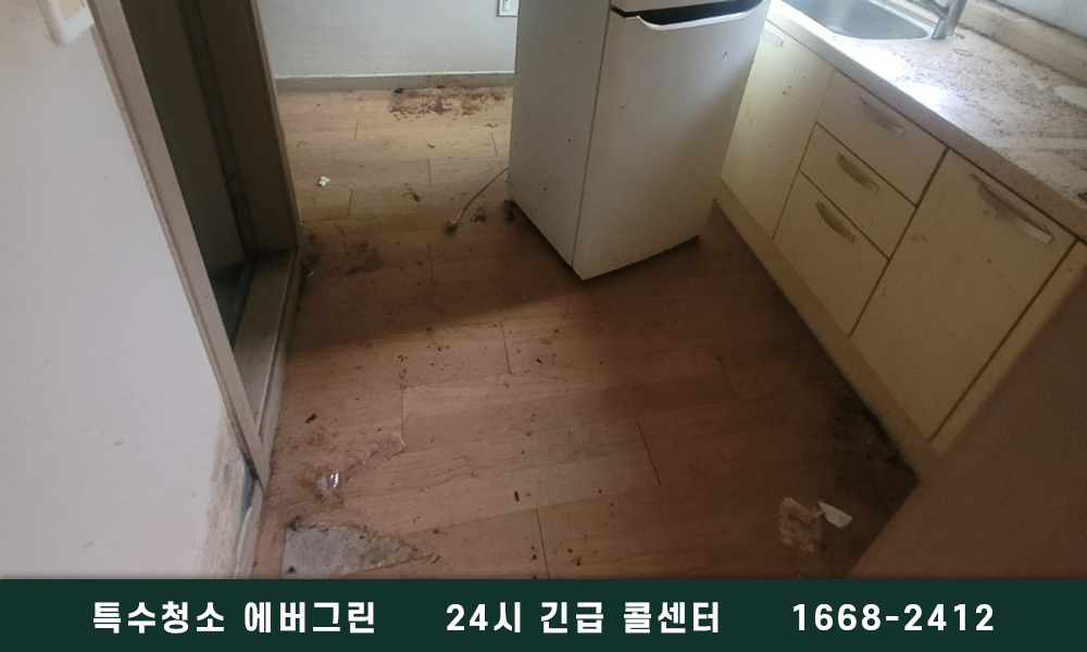 구로 금천 쓰레기집청소