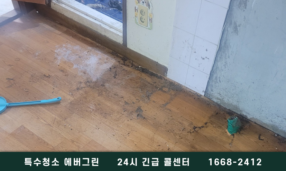 구로 금천 쓰레기집청소