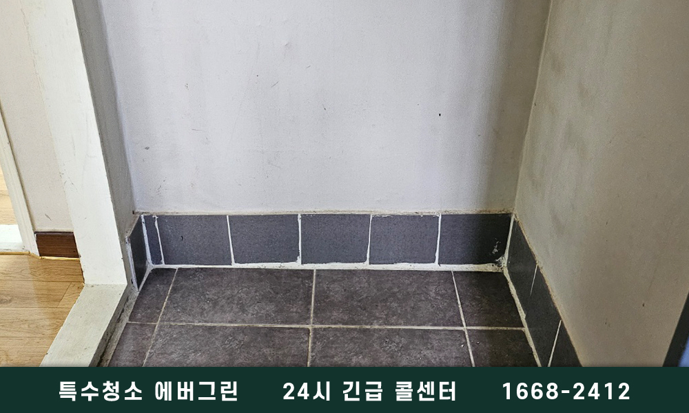 서울 성북구 고독사청소