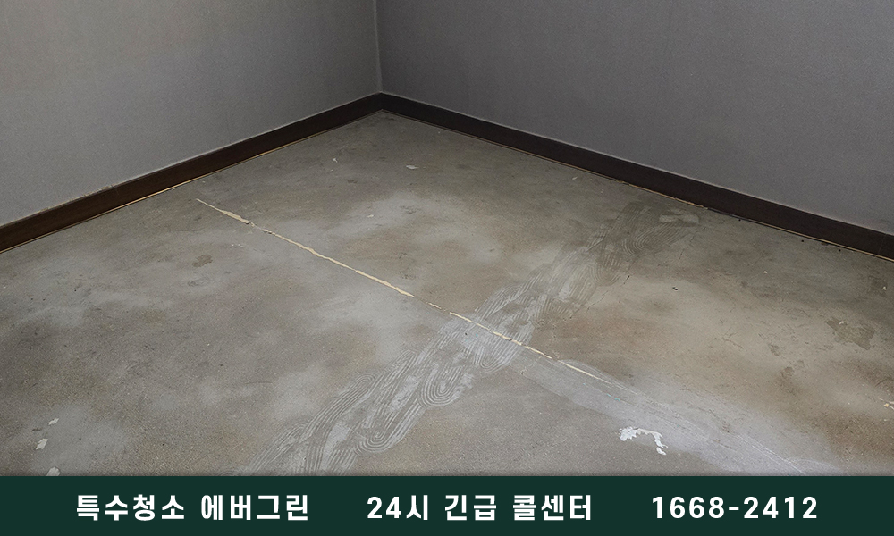 서울 성북구 고독사청소