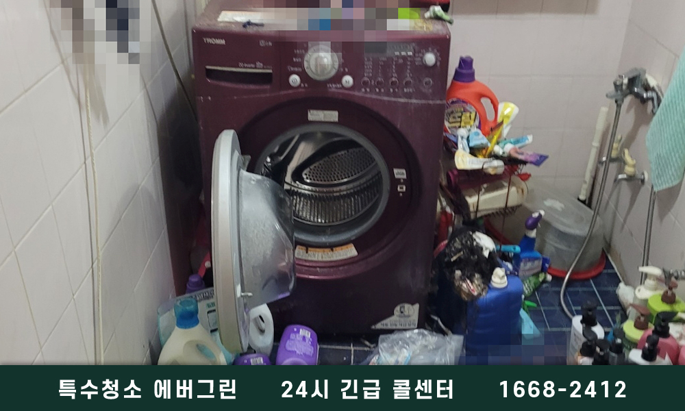 서울 송파구 쓰레기집청소