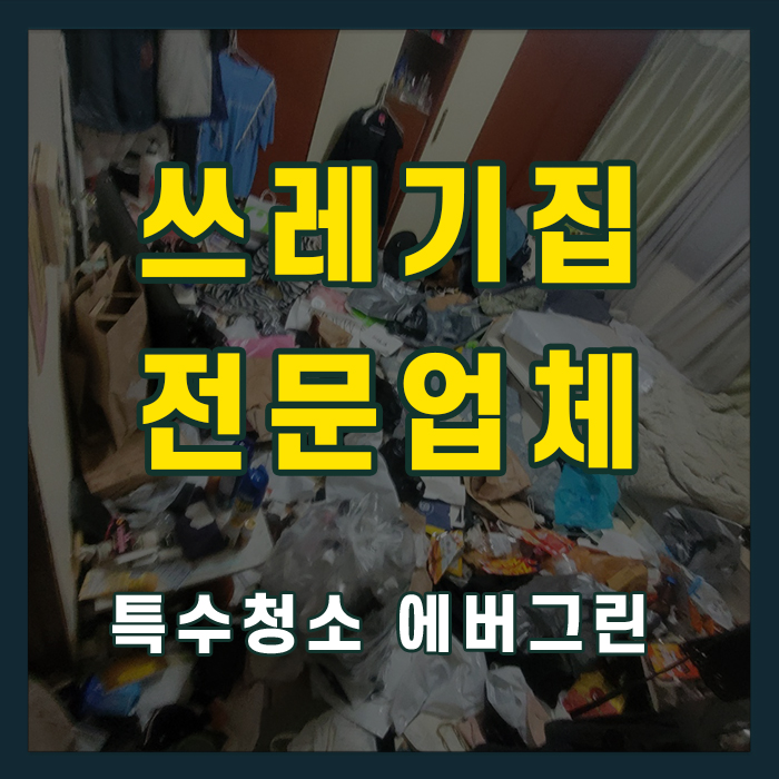 서울 송파구 쓰레기집청소