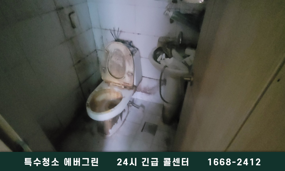 서울 중구 종로구 쓰레기집청소