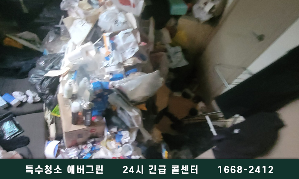 서울 중구 종로구 쓰레기집청소