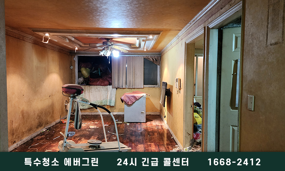 성북구 쓰레기집청소