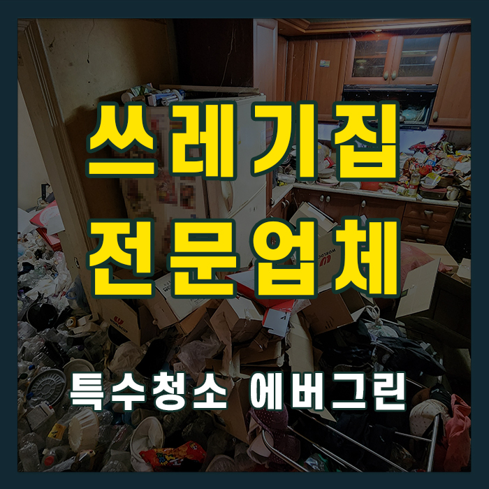 성북구 쓰레기집청소
