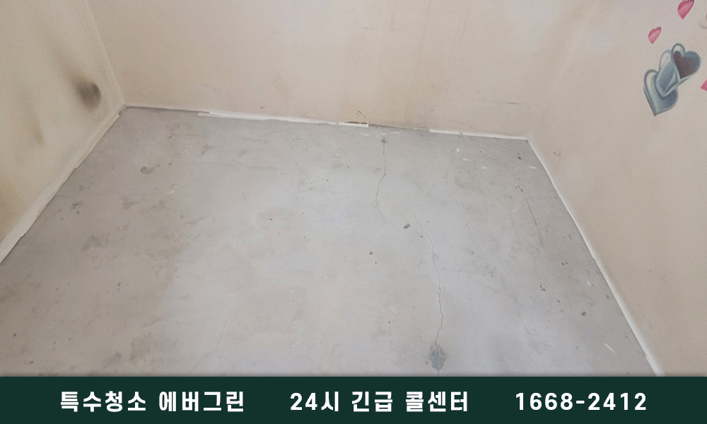 용산구 쓰레기집청소