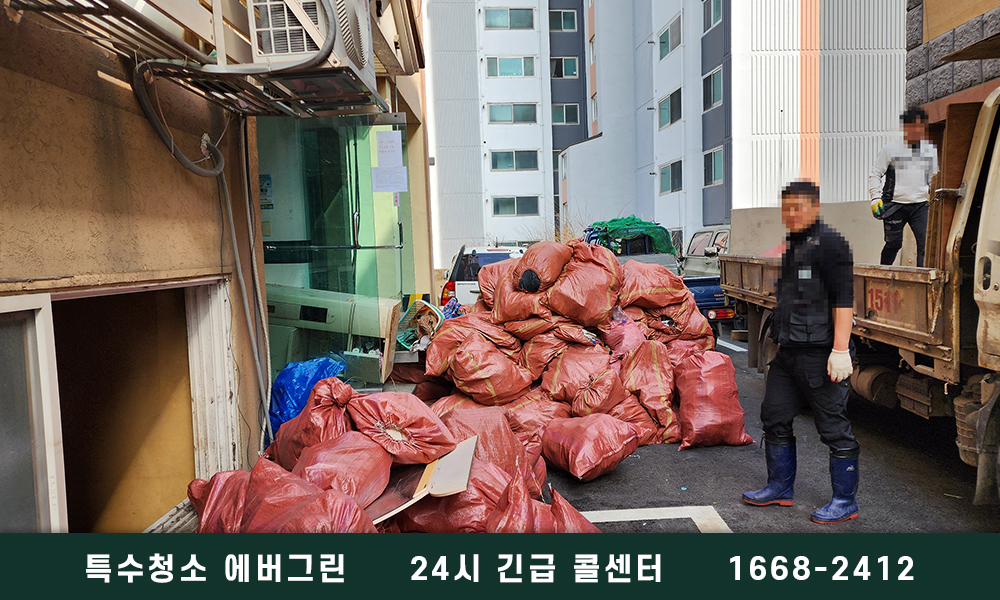 은평구 쓰레기집청소