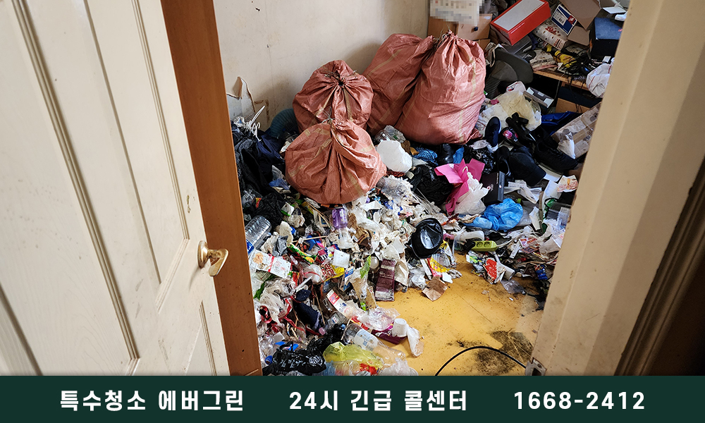 은평구 쓰레기집청소