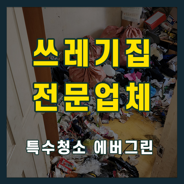 은평구 쓰레기집청소