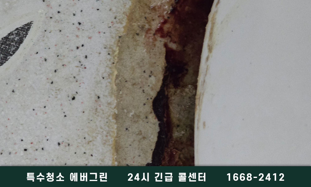 의정부 양주 고독사청소